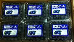 Texas Pride Blueberries Pints